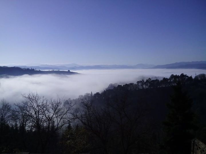 b0338818_281457.jpg
