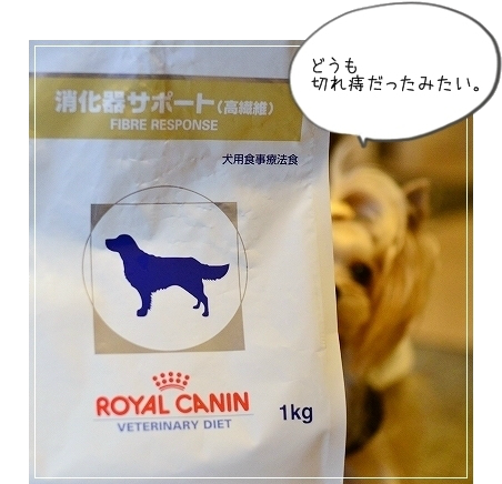 d0179828_19352816.png