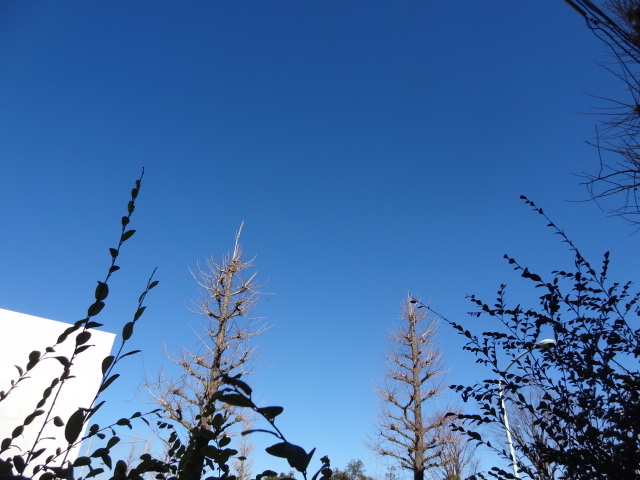 e0016828_1044925.jpg