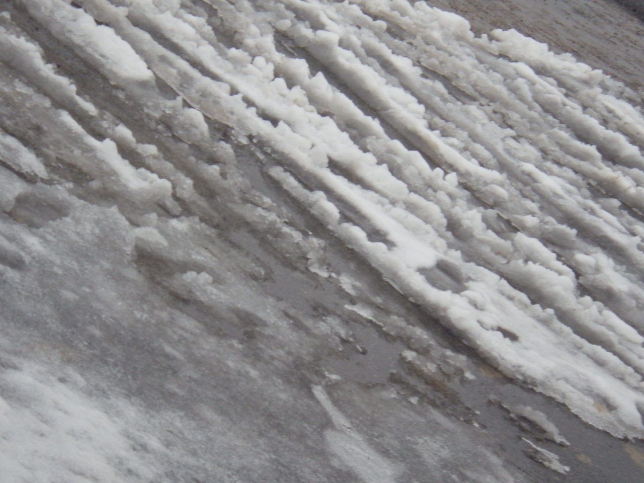 c0300035_9161078.jpg