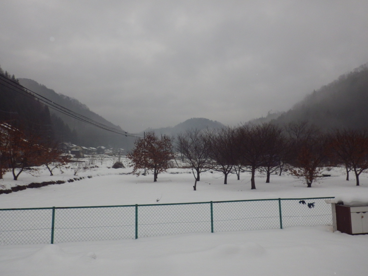 c0300035_9163128.jpg