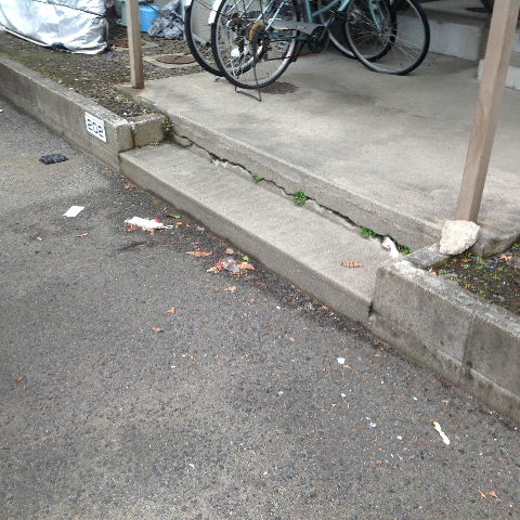 f0031037_1837160.jpg