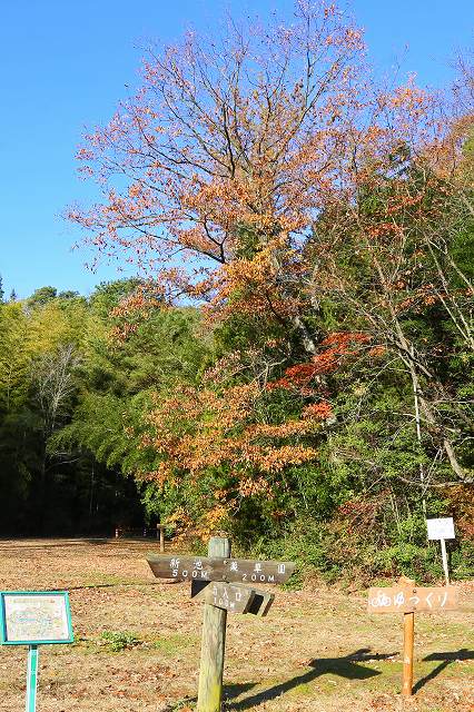 a0242438_18193193.jpg