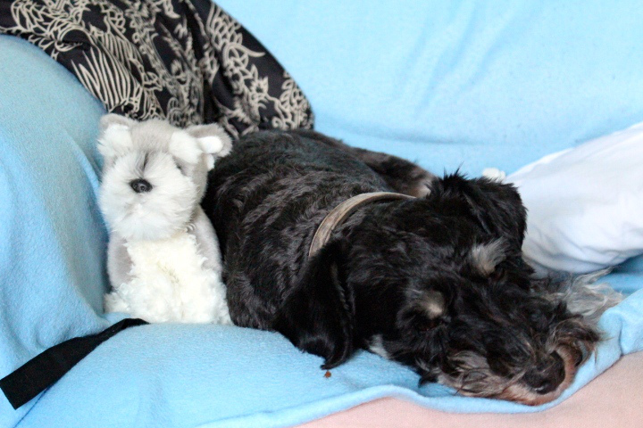 c0153740_07128.jpg