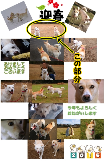 f0195543_2311879.png