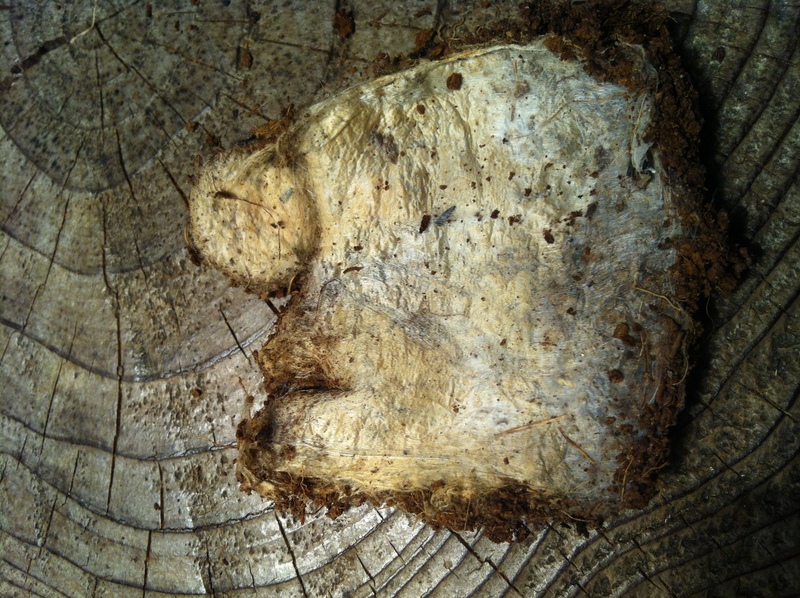 e0252746_23153095.jpg