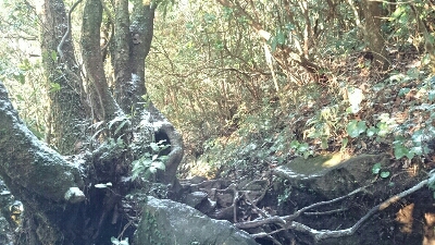 b0148050_2228197.jpg