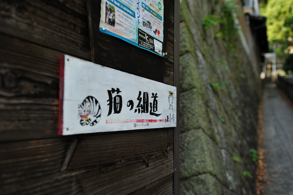f0323351_22014596.jpg