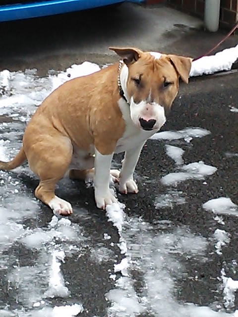 c0073152_1385236.jpg