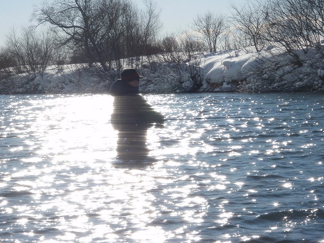 c0097652_20243551.jpg
