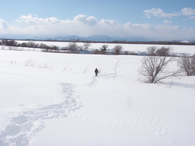 c0097652_20275943.jpg