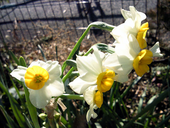 c0039153_0144610.jpg