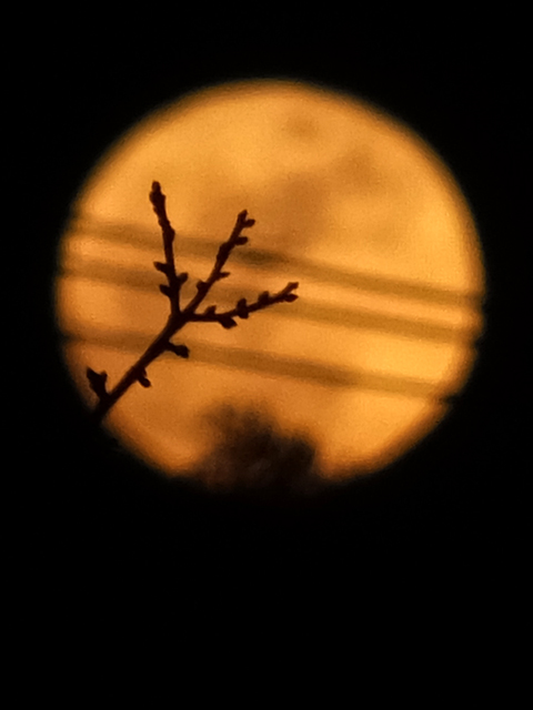 c0039153_0151178.jpg