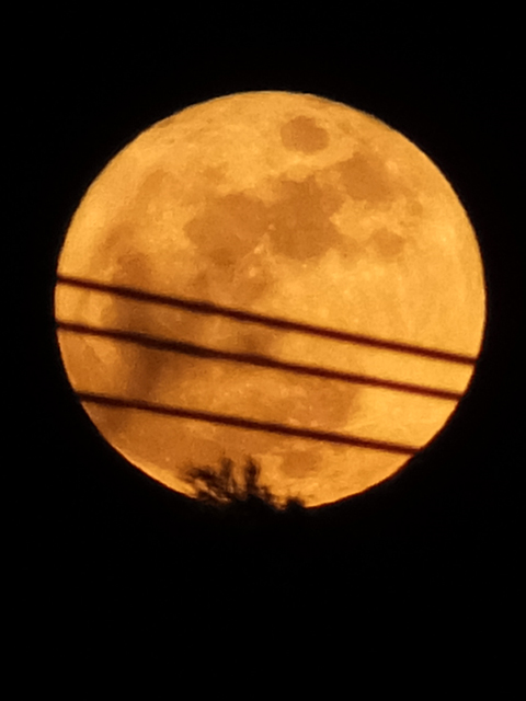 c0039153_0151714.jpg