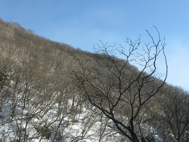 a0052762_5545829.jpg