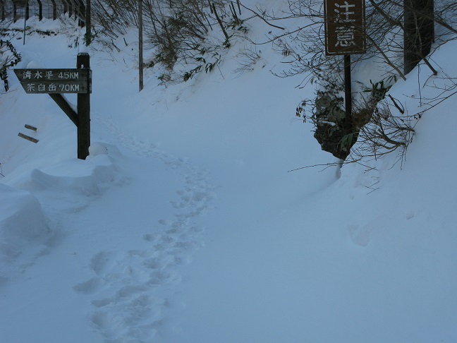 a0052762_5584218.jpg