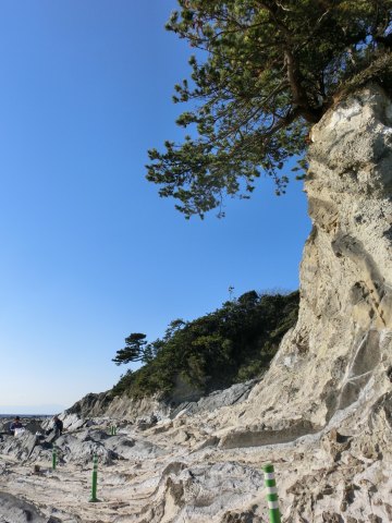e0045768_2141897.jpg