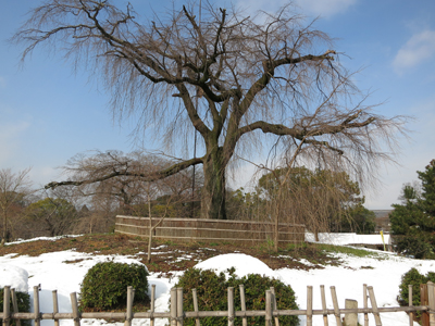 c0117570_1525263.jpg