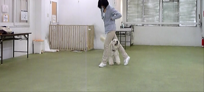 e0161972_19131989.png