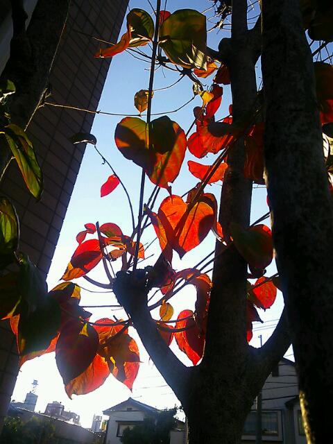 f0219674_23404792.jpg