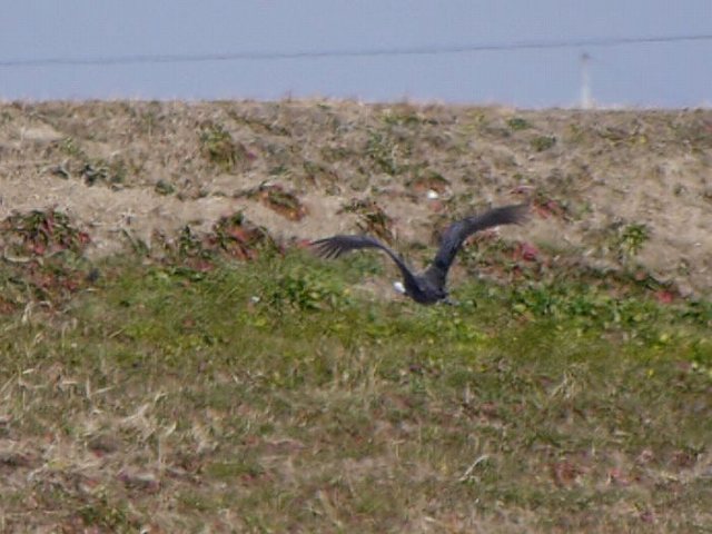 d0088184_22533625.jpg