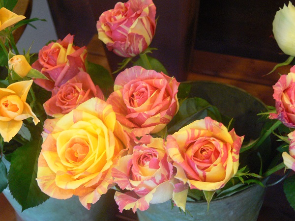 e0140986_14145834.jpg