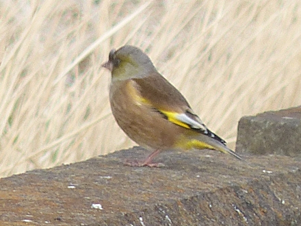 f0357487_012485.jpg