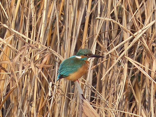 f0357487_0152259.jpg