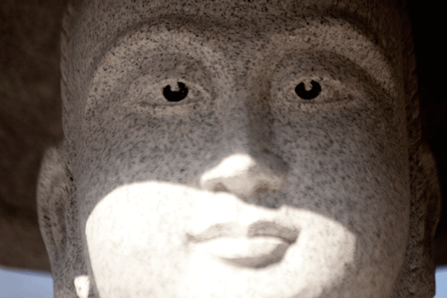 c0193289_17404451.gif