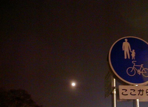d0053294_0312181.jpg