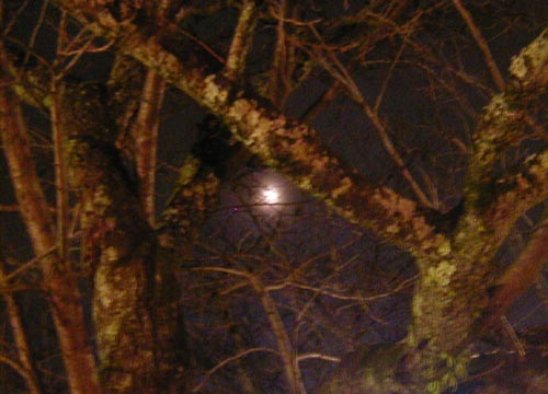 d0053294_03156.jpg