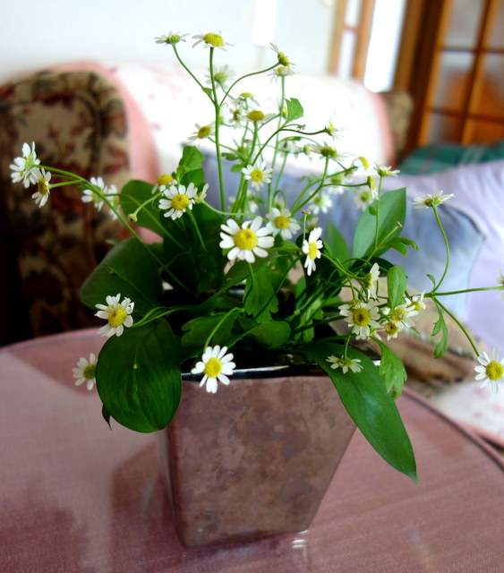 f0137694_2032559.jpg