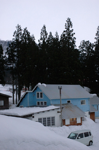 a0061599_7353321.jpg
