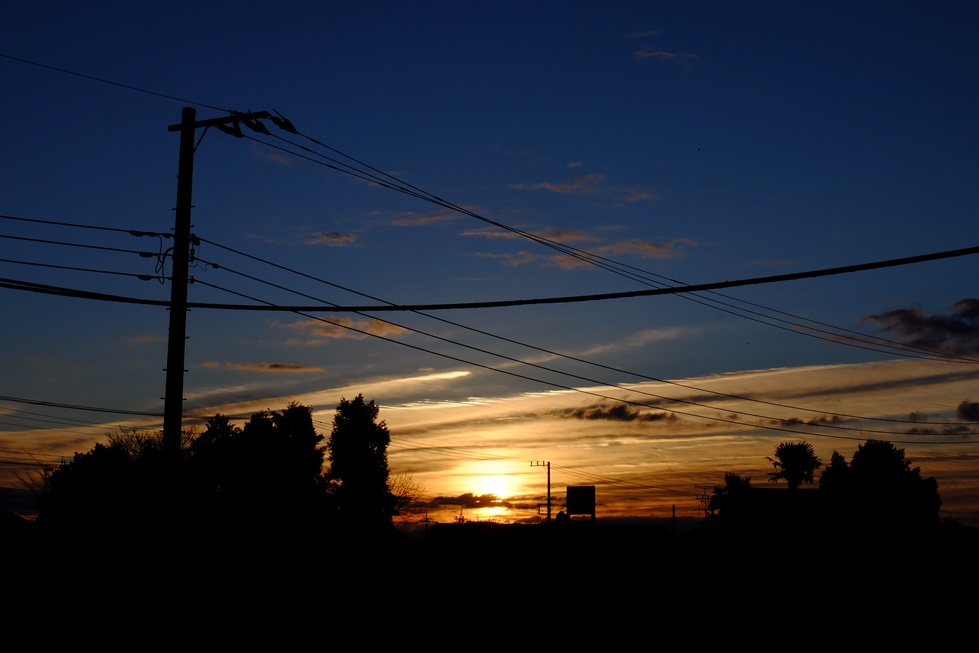 f0113108_835026.jpg