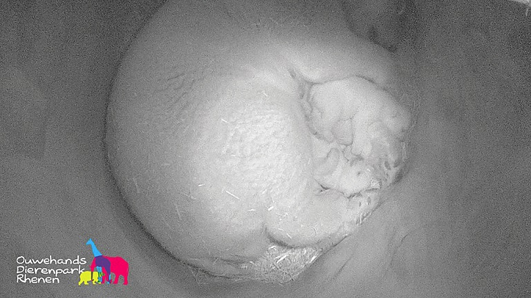 a0151913_22363722.jpg