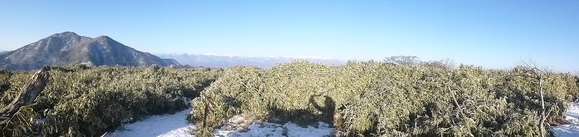 d0170615_16305298.jpg