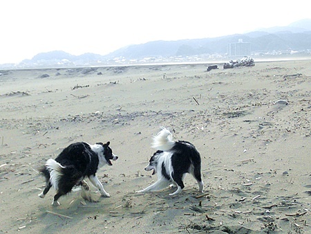 b0279527_17024701.jpg