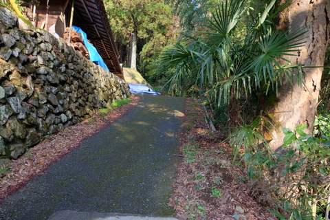 b0281732_12405764.jpg