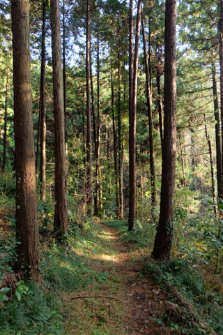 b0281732_1241430.jpg