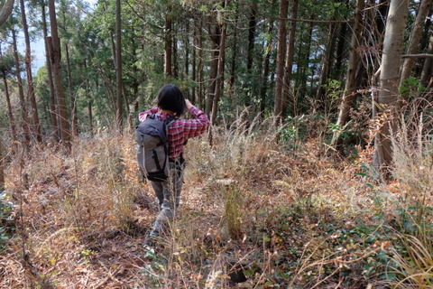 b0281732_12415887.jpg