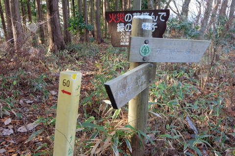 b0281732_1242399.jpg