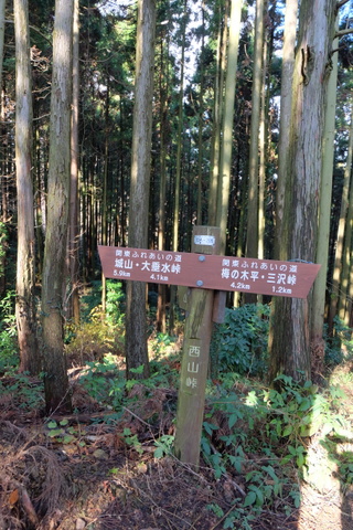 b0281732_12462026.jpg