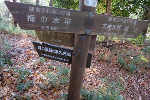 b0281732_12463698.jpg