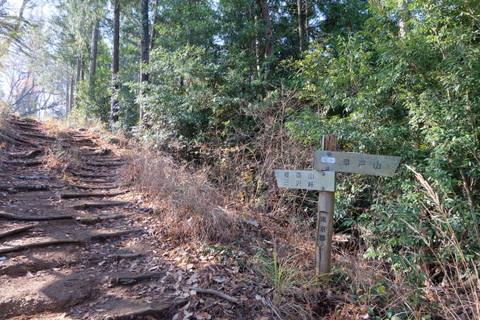 b0281732_12464890.jpg