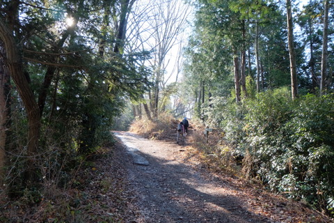 b0281732_12465469.jpg
