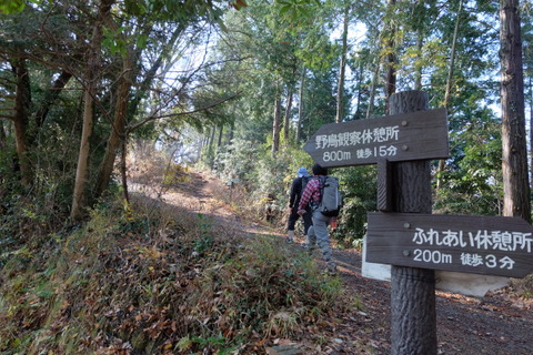 b0281732_1247132.jpg