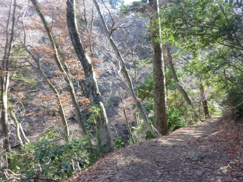 b0298935_22295061.jpg