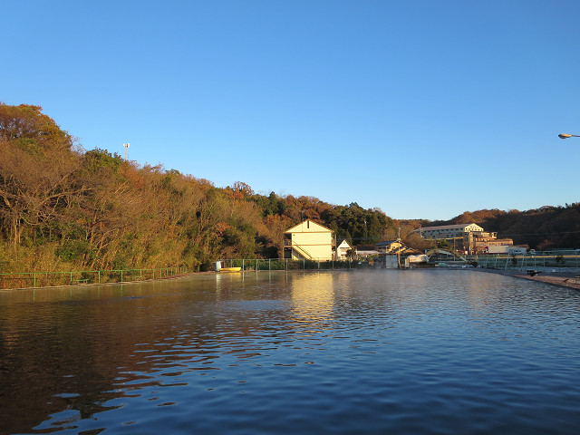 f0065341_14543118.jpg