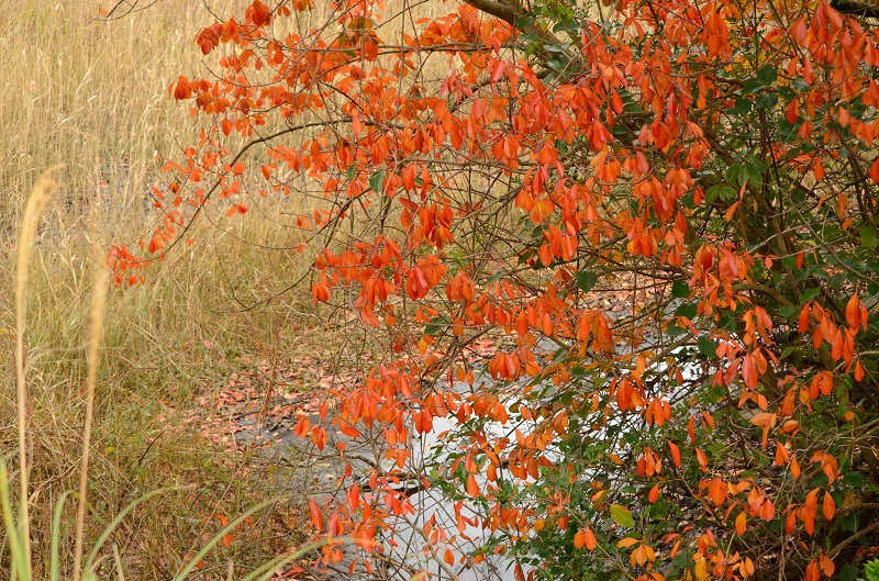 b0288942_17521373.jpg