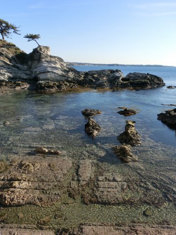 e0045768_21284850.jpg